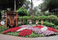 CERVIA CITTA' GIARDINO
